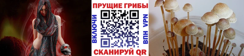 Псилоцибиновые грибы мицелий  хочу   Спасск 