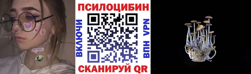 Галлюциногенные грибы Cubensis Спасск
