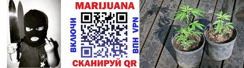 Канабис индика Спасск